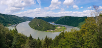 Donau Passau - Wien Schloegen Schlögener Schlinge ©Marlene Hackl