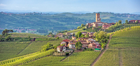 Italien Piemont zwischen Alba und Moncalvo Weinberge heller ©javarman - Fotolia.com